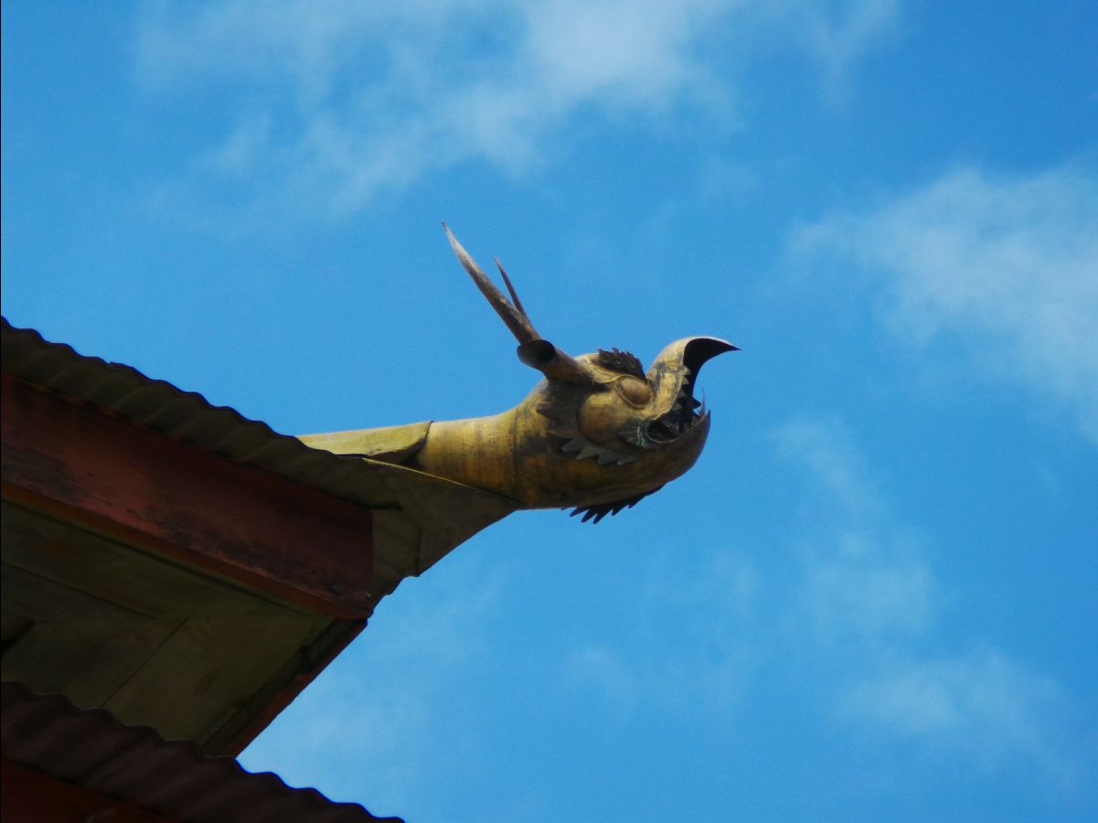 Punakha Dzong86